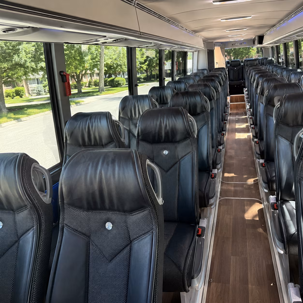 charter buses for lafayette bachelor trips to surrounding cajun country