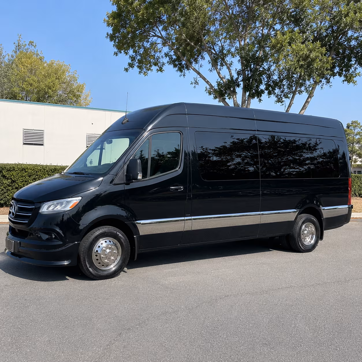 secure transportation for your next birthday 3